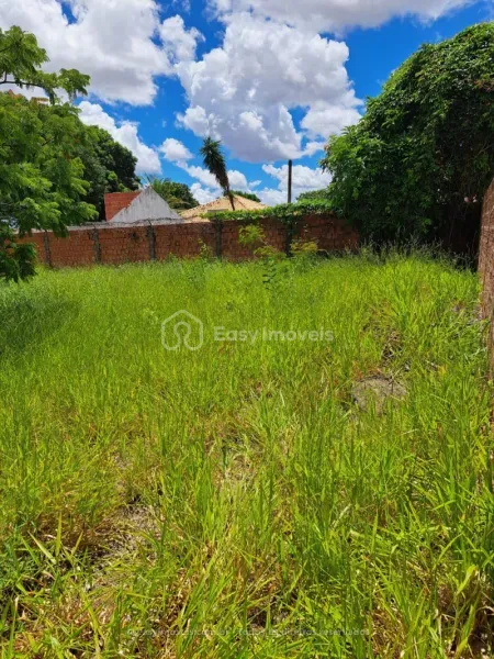 Foto 4 do imóvel