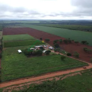 Sítio em Area Rural, Nova Ubiratã